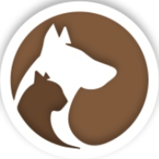 Статистика Дзен PETVADOR | Корма для кошек и собак