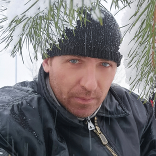 Статистика Дзен Александр Ротнов Деревенщина пасека с нуля РОССИЯ