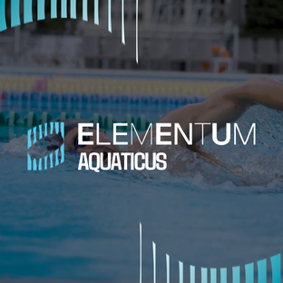 Статистика Дзен Школа плавания Elaq (Elementum Aquaticus)