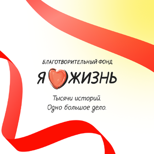 Статистика Дзен Благотворительный фонд «Я люблю жизнь»