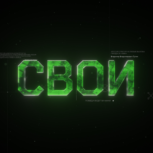 Статистика Дзен СВОИ