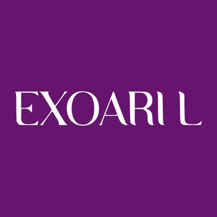 Статистика Дзен EXOARI L
