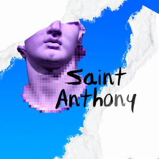 Статистика Дзен SAINT ANTHONY