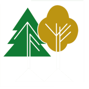 Статистика Дзен Eliteplant