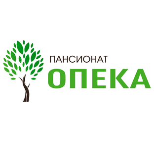 Статистика Дзен Пансионат для пожилых «Опека»