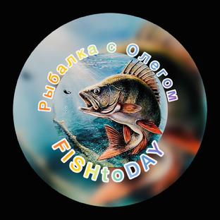 Статистика Дзен FISHtoDAY