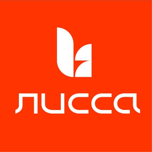 Статистика Дзен ЛИССА: мерч, дизайн, полиграфия, текстиль