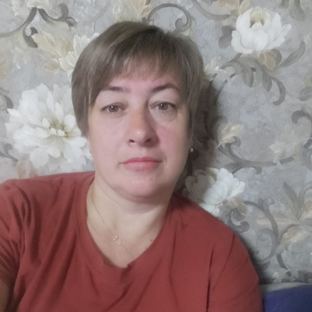 Статистика Дзен Серебренная чайка в деревне