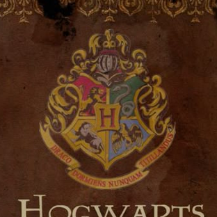 Статистика Дзен Potter: A History