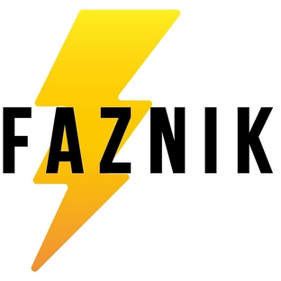 Статистика Дзен Faznik.ru