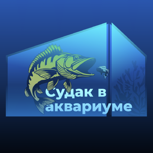 Статистика Дзен СУДАК В АКВАРИУМЕ
