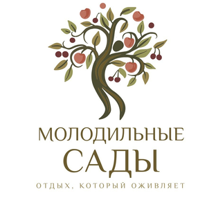 Статистика Дзен Молодильные сады место отдыха.