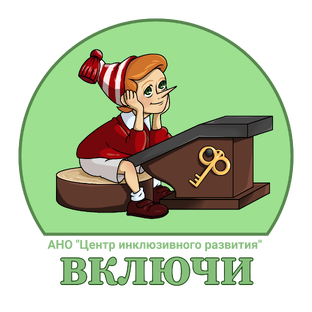 Статистика Дзен АНО "Центр инклюзивного развития "Включи"