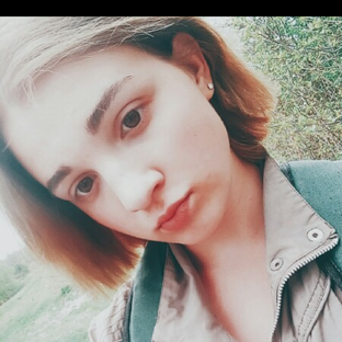 Статистика Дзен Александра Зайчикова