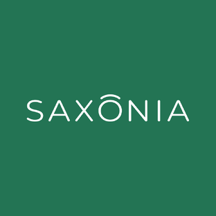 Статистика Дзен Клиника Saxonia