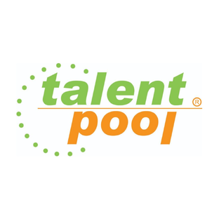 Статистика Дзен Talent Pool