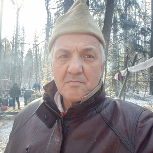 Статистика Дзен  Петров-Чоткар Г.А