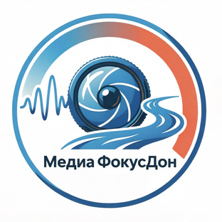 Статистика Дзен МедиаФокусДон