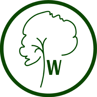 Статистика Дзен WoodHouse | Деревянные окна