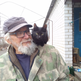 Статистика Дзен Николай Ломейко