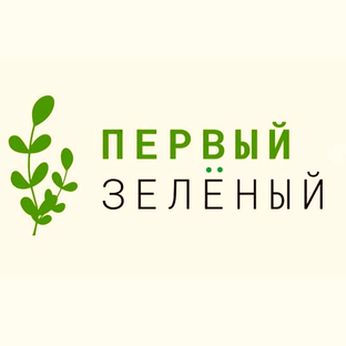 Статистика Дзен ПЕРВЫЙ ЗЕЛЁНЫЙ 🌿