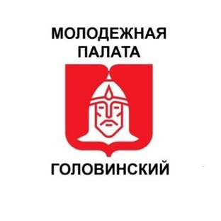 Статистика Дзен Молодежная палата Головинского района
