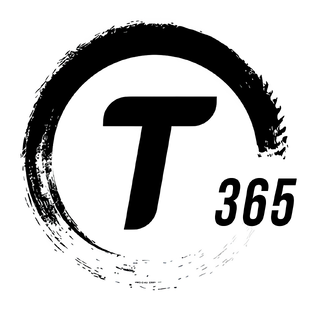 Статистика Дзен Т365