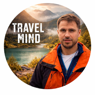 Статистика Дзен TravelMind 