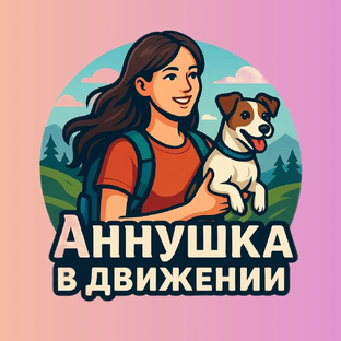 Статистика Дзен Аннушка "в движении"