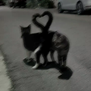 Статистика Дзен Софик🖤
