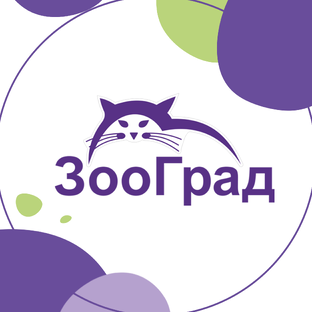 Статистика Дзен Зоомагазин Зооград