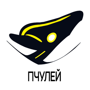 Статистика Дзен Пчулей_Подработка_НаймПро