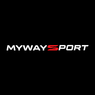 Статистика Дзен MyWaySport