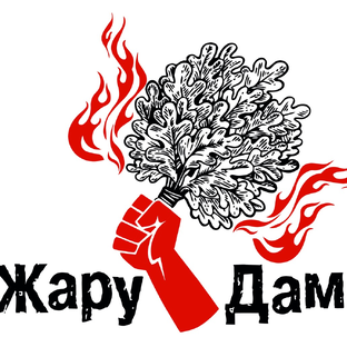 Статистика Дзен ЖаруДам