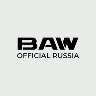 Статистика Дзен BAW OFFICIAL RUSSIA