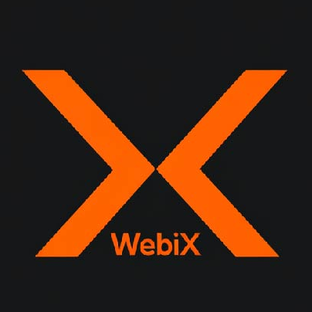 Статистика Дзен WebiX
