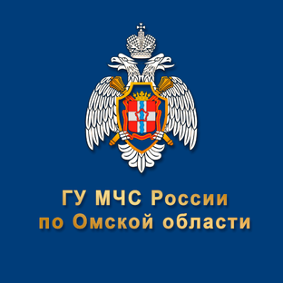 Статистика Дзен МЧС Омской области