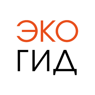Статистика Дзен Проект "ЭкоГид"