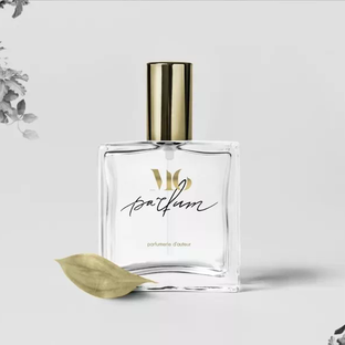 Статистика Дзен MO PARFUM