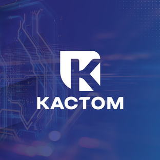Статистика Дзен Группа компаний «Кастом»