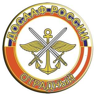 Статистика Дзен ДОСААФ г.Отрадный