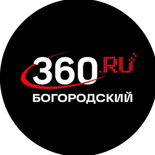Статистика Дзен 360.ru Богородский