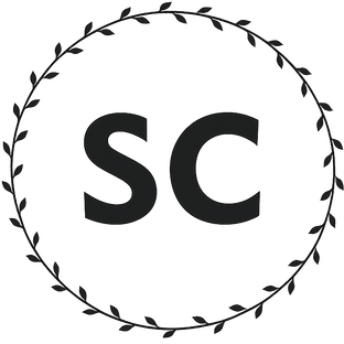 Статистика Дзен SC.MODA