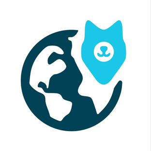 Статистика Дзен GPS трекеры для животных Petsee