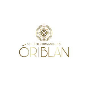 Статистика Дзен ORIBLAN - PLEXE технологии реставрации волос для салонов красоты