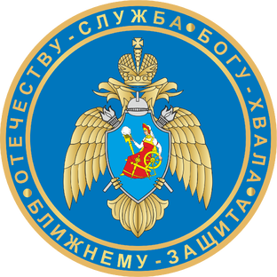 Статистика Дзен ИПСА ГПС МЧС России
