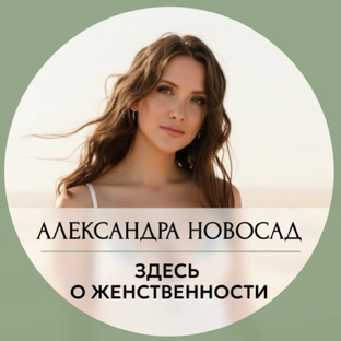 Статистика Дзен Александра Новосад