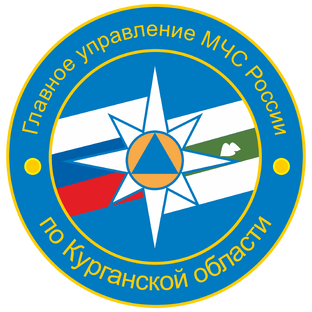 Статистика Дзен МЧС Курганской области