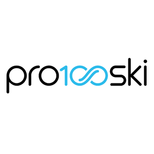 Статистика Дзен Горнолыжный клуб Pro100ski