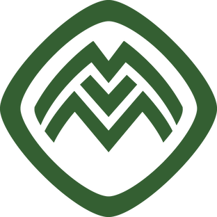 Статистика Дзен MVM LESTROIS Realty